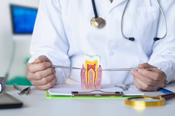 Best Broken Tooth Emergency  in Hebbronville, TX